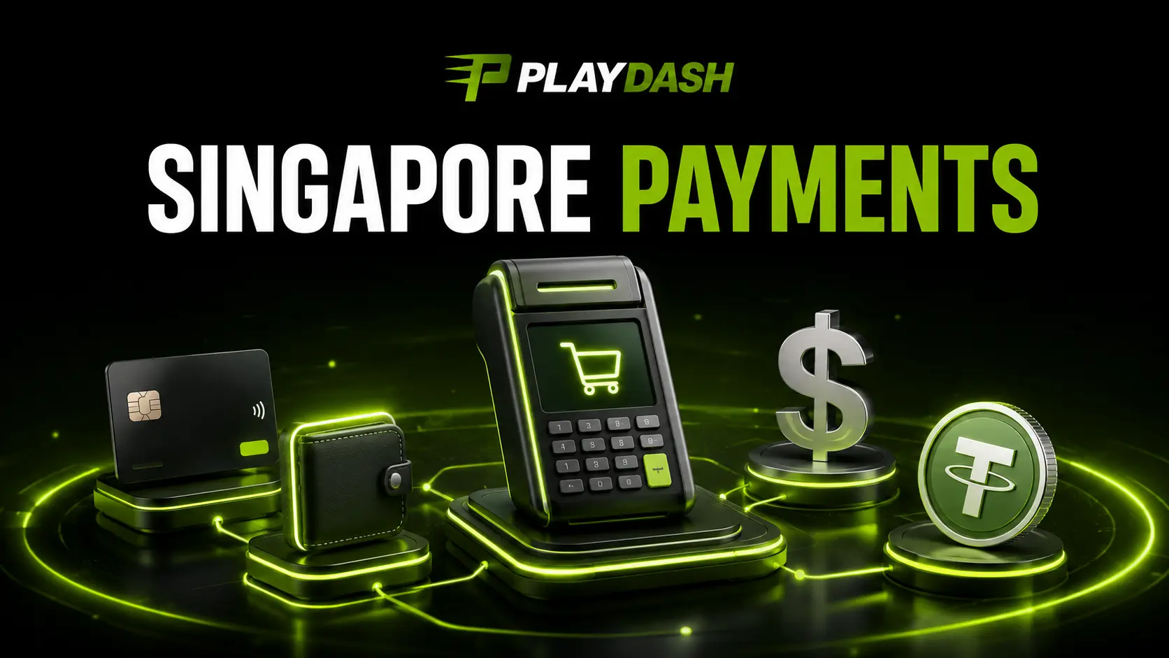 PlayDash Singapore payment information with generic card, wallet and USDT symbols